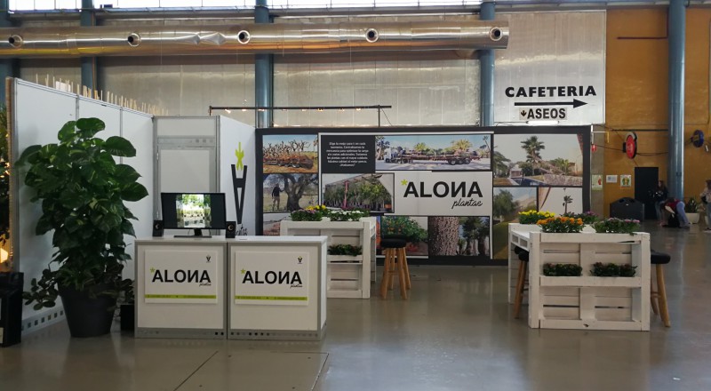 Stand Alona